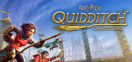 Quidditch Banner